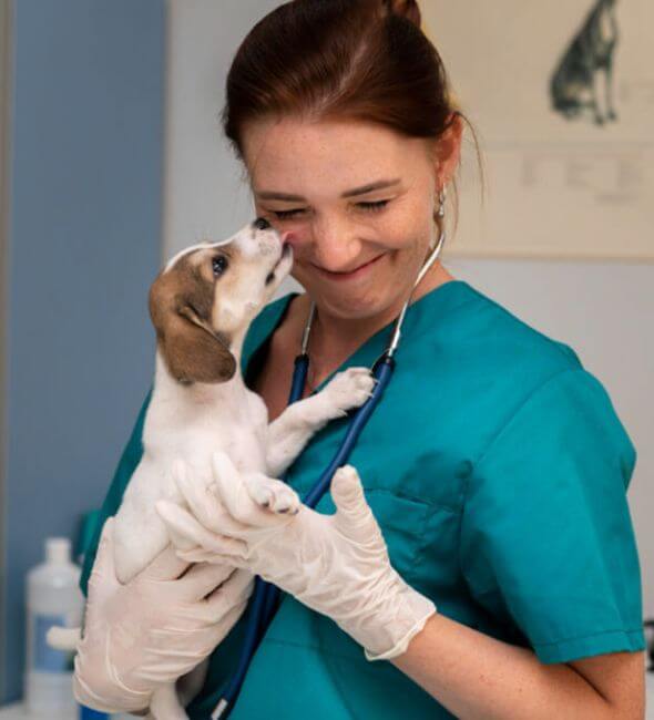 Bemutatkozó-doktornő kutyával